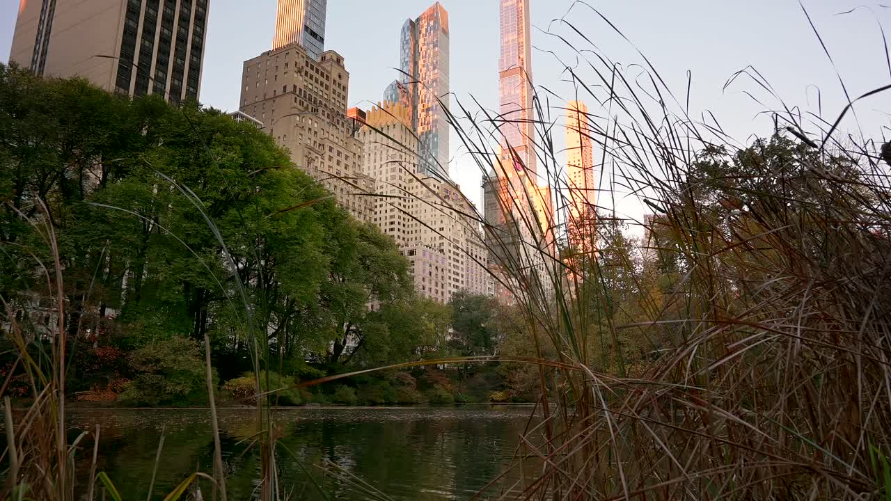 센트럴 파크의 조용한 아침, 해가 뜨면 건물들이 빛납니다.