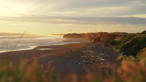 A-beach-at-low-tide-full-of-wood-waste,-a-windmill-farm-in-the-background