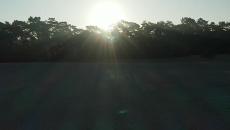 Helles-Sonnenlicht-Durch-Wald-Im-Naturschutzgebiet-Soesterduinen-In-Den-Niederlanden