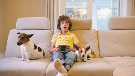 blond boy with curly hair playing with remote control, next to him are their dogs lying