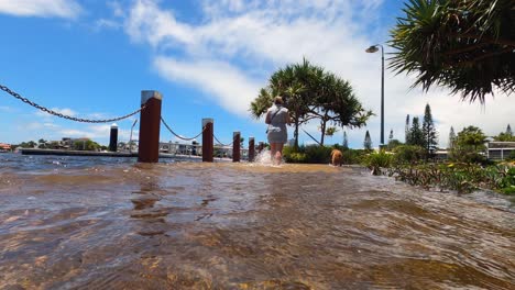 walking a dog through ankle deep water during high tide on a flooded waterfront pathway