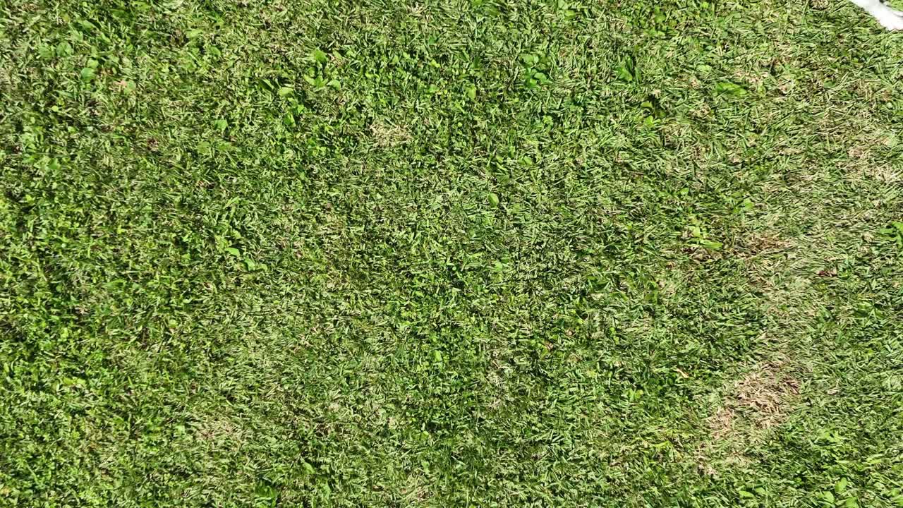 imágenes a cámara lenta de un perro ladrando y mirando hacia arriba, capturando su expresión de alerta y movimiento, mostrando el comportamiento detallado y la respuesta emocional en un entorno sereno