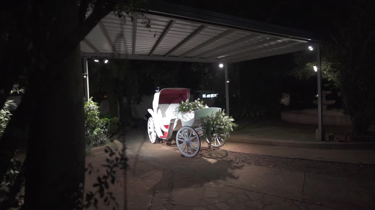 Elegante carrozza bianca illuminata dai lampioni notturni e decorata con fiori