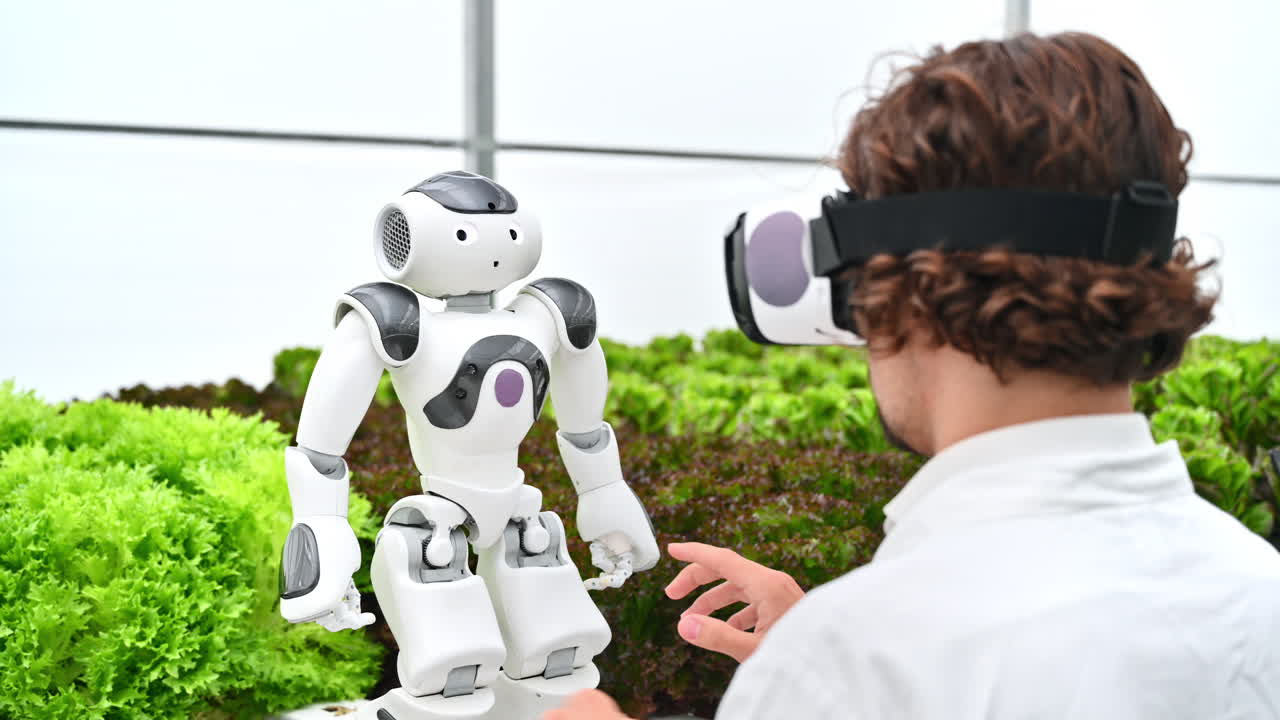 Laboratory technician in a white coat wearing virtual reality headset interacting with humanoid robot near different types of lettuce in a greenhouse farm