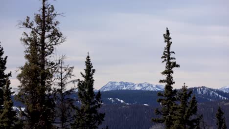 4k time lapse mountains and trees