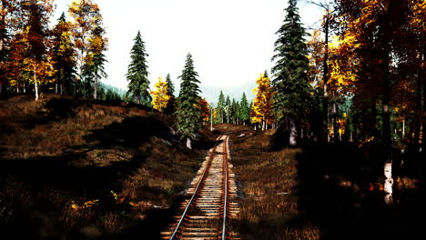 railroad tracks through a forest in autumn