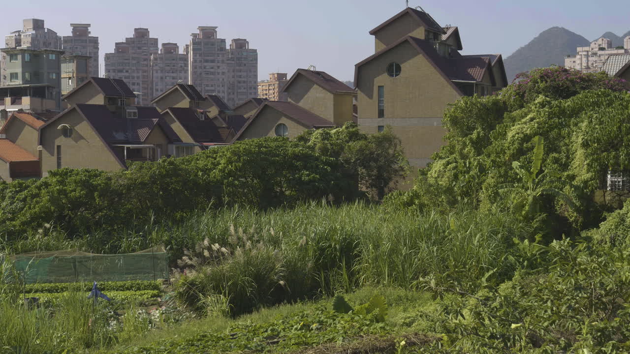 Taiwan Outskirts: Farmland Meets Modern Skyline – Pan