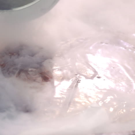 sous vide cooking process with smoke