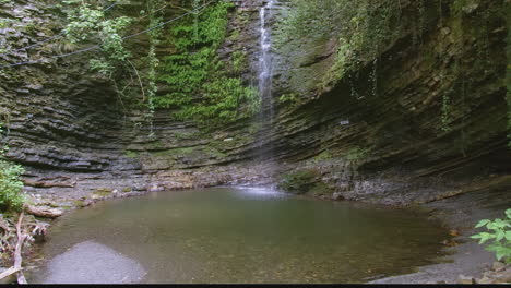 scenic waterfall in a forest
