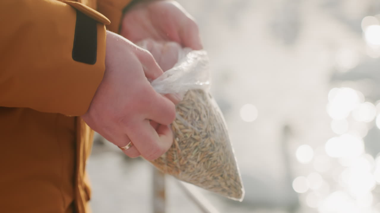 Closeup hands holding bag of seed as volunteer sprinkles grain along frozen lake bank, orange jacket, plastic bag texture, soft sunlight and reflective water, gentle motion capturing winter wildlife