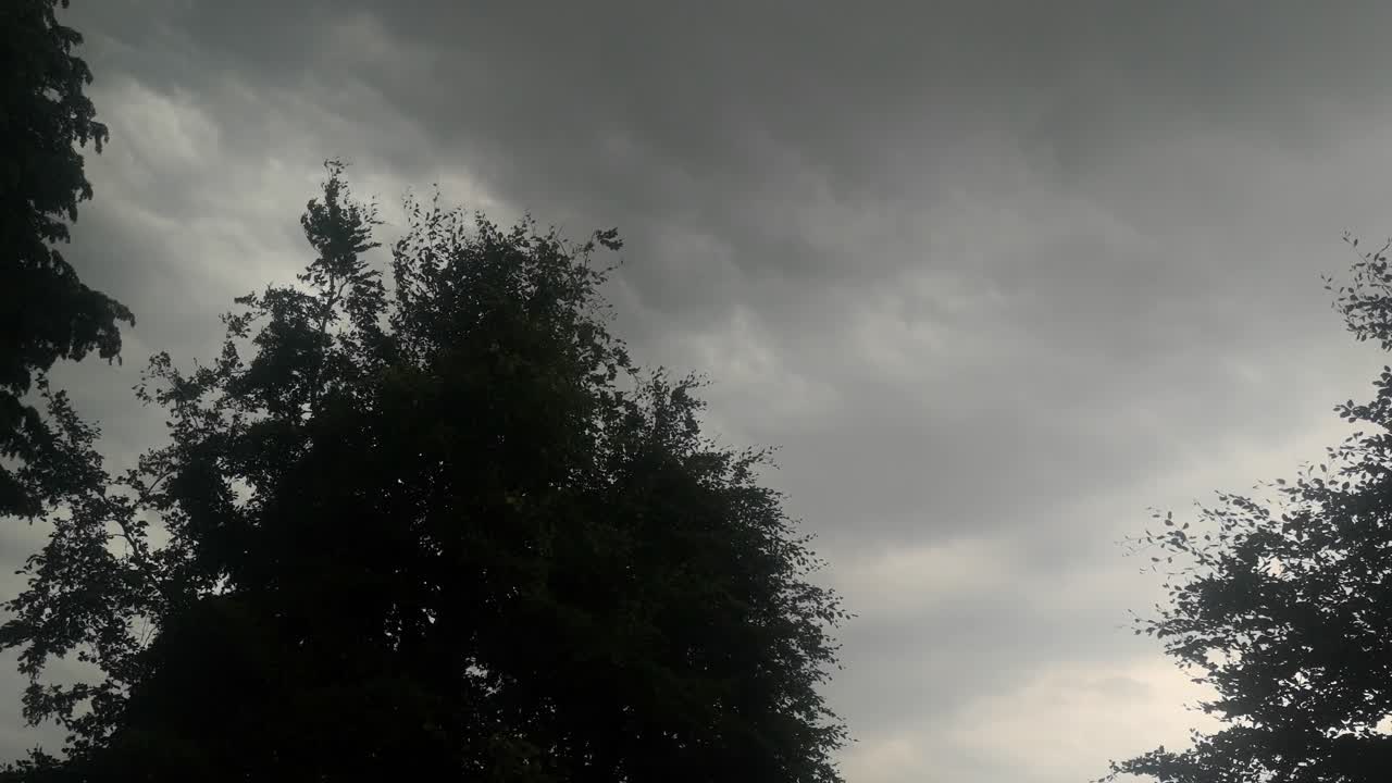 번개 플래시 조명 폭풍우 구름 하늘로 알파인 나무를보고