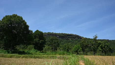 Arrozales-Y-Montaña-De-Piedra-Caliza