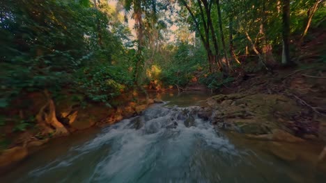jungle forest woods and fresh river stream of río comate, bayaguana, provincia monte plata in the dominican republic