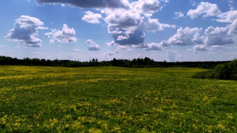 Skujene,-Latvia,-Europe---A-Picturesque-Vista-Adorned-With-Abundant-Green-Foliage---Drone-Flying-Forward