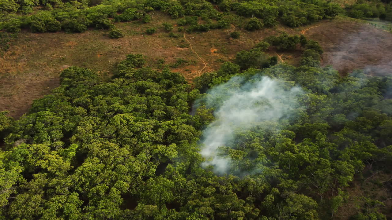 베트남의 지구 온난화 위기, 불타는 열대림의 조감도