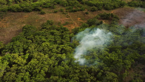 crisis del calentamiento global en vietnam, vista aérea del bosque tropical en llamas