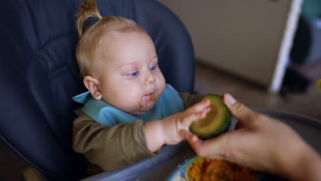 curious blond baby boy takes a half of avocado from mom's hand. feeding a cute infant at home.