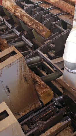 power-saw bench. process of cutting logs at woodworking plant. modernized technology on a sawmill. top view. vertical video