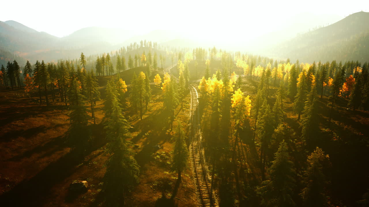 ferrocarril del bosque de otoño: vista aérea de las vías panorámicas del tren