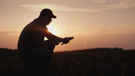 una agricultora está trabajando en el campo al atardecer estudiando brotes de plantas fotografiándolos usando en