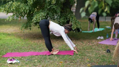 sesión de yoga en grupo en un parque