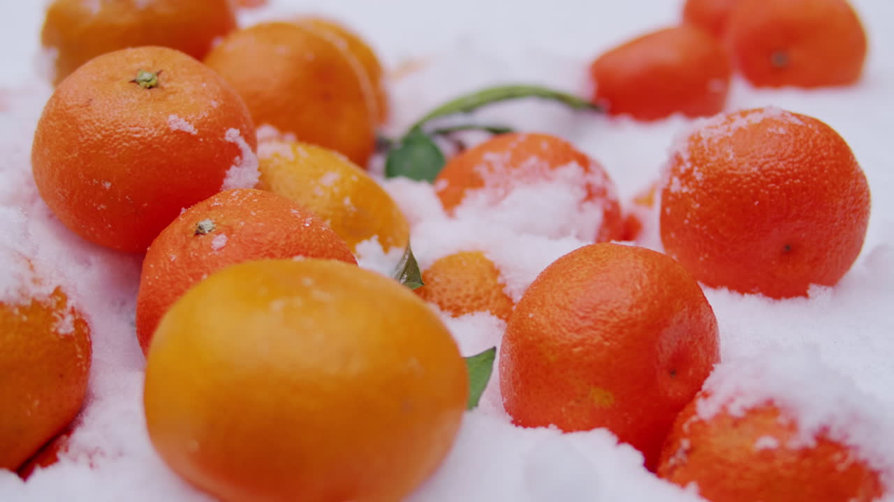 눈으로 인 오렌지