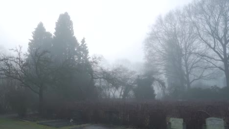 foggy cemetery landscape