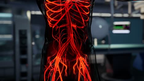 science anatomy scan of human blood vessels