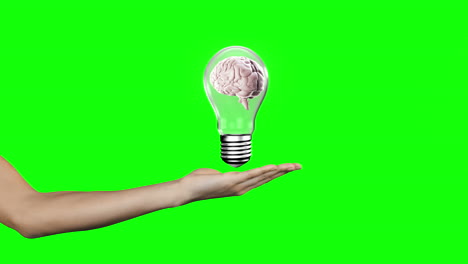la mano que presenta la bombilla con el cerebro