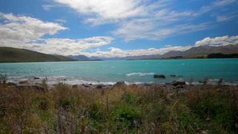 vista panorâmica para um lago azul insano com flores ao vento em primeiro plano, lago tekapo, nova zelândia