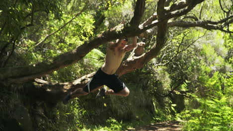 young man gracefully swings out of tree in forest onto ground, slow motion