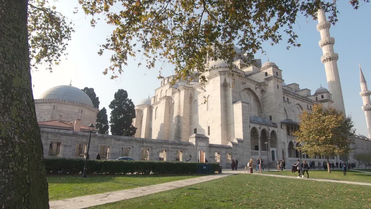 caminando por la hierba verde más allá del árbol que revela la mezquita de suleymaniye, la mezquita imperial otomana.