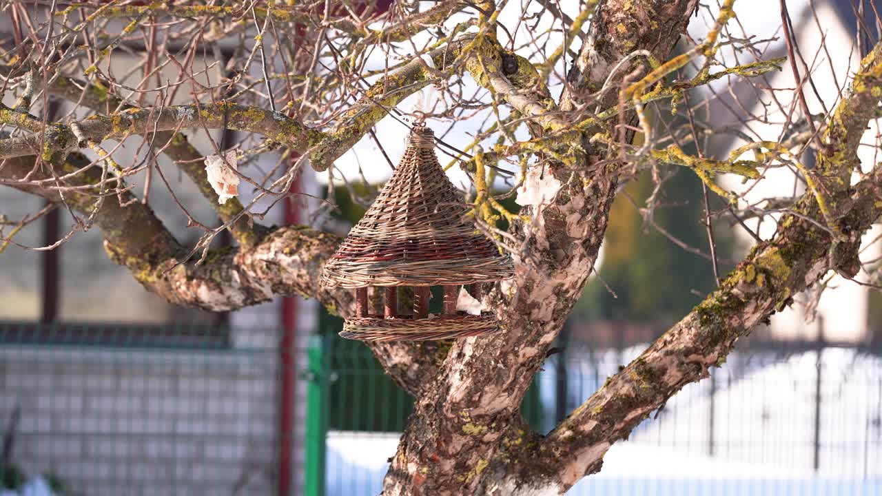 Um charmoso comedouro de pássaros de vime feito à mão pende de um galho de árvore nu, capturando uma atmosfera rústica contra o cenário de um jardim nevado. A luz do dia brilhante realça a cena.