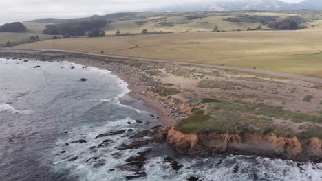 low aerial dolly shot of the northern elephant seal rookery in san simeon, california