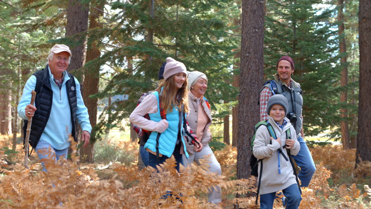 Panorering av en generasjonsfamilie som går i en skog