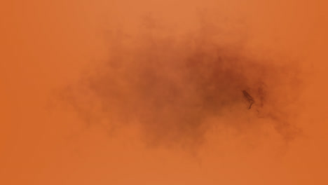 Animation-of-cloud-of-grey-smoke-appearing-and-disappearing-on-orange-background