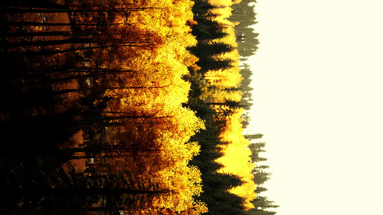 paisaje de bosque de otoño