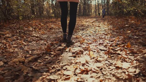 woman walking on a path covered in autumn leaves