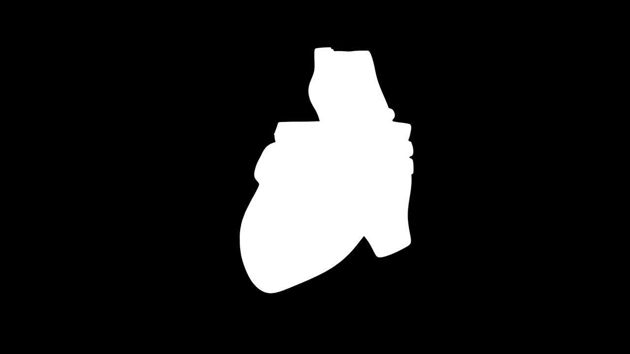 3d 애니메이션 인간 심장