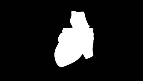 el corazón humano animado en 3d