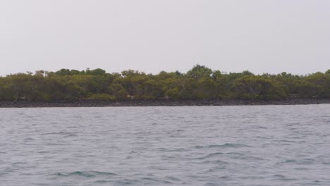 Pov-Von-Einer-Fähre-Nach-North-Stradbroke-Island-In-Moreton-Bay