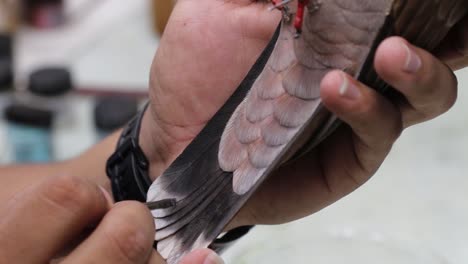 Man-painting-wood-to-create-a-bird-figurine