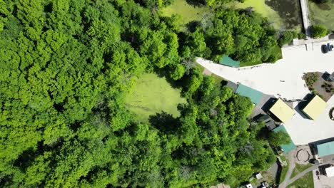 circling rotating above pond with algae in lush forest public nature park