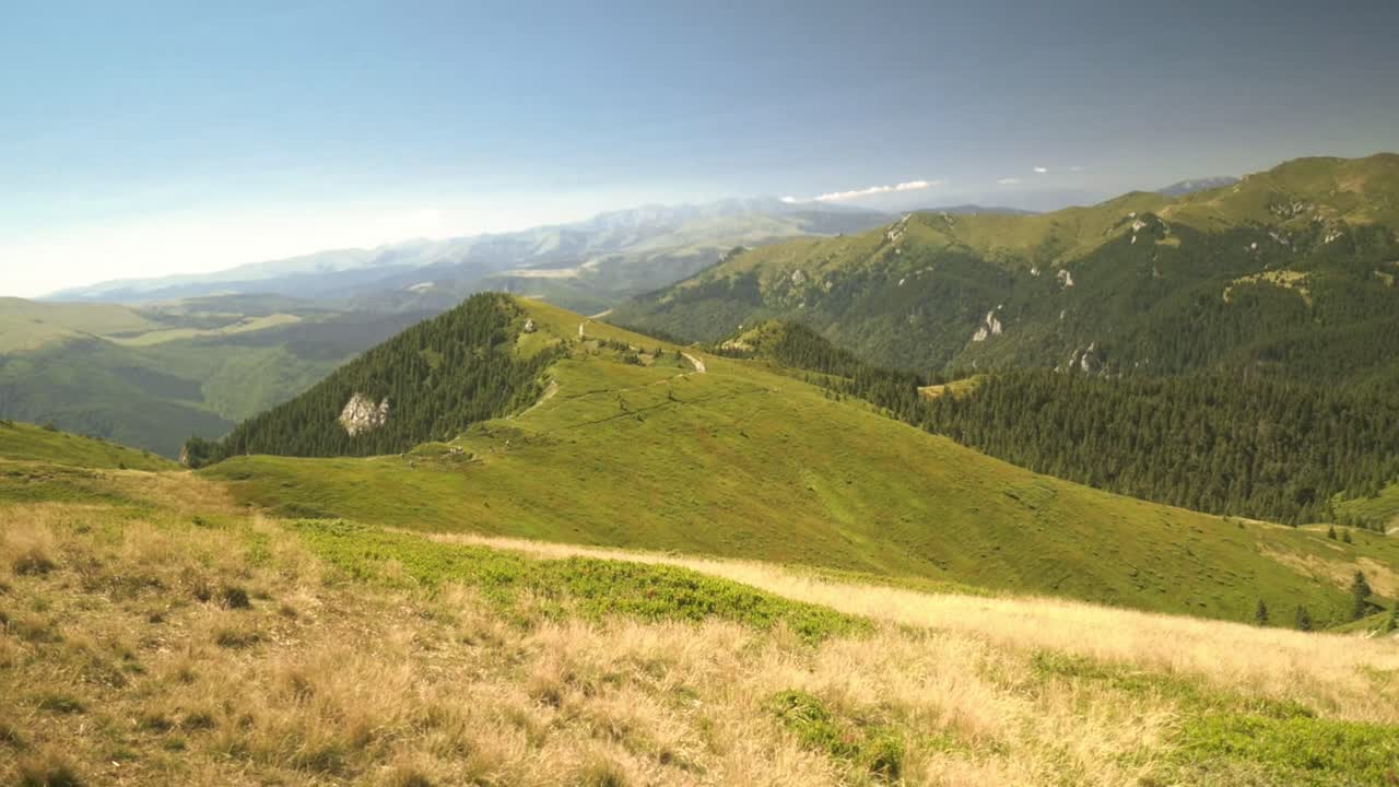 Malownicza górska łąka z bujną zielenią.