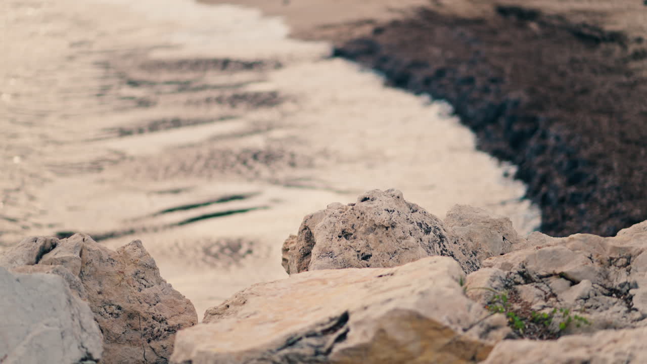 Close up of dark waves crashing onto a muddy shore with foam along the edge