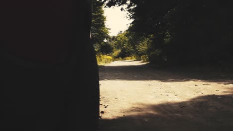 sliding movement on a country road with a car standing on the shore