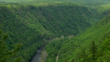 Una-Vista-De-ángulo-Alto-Del-Desfiladero-De-Pine-Creek-O-El-Gran-Cañón-De-Pennsylvania