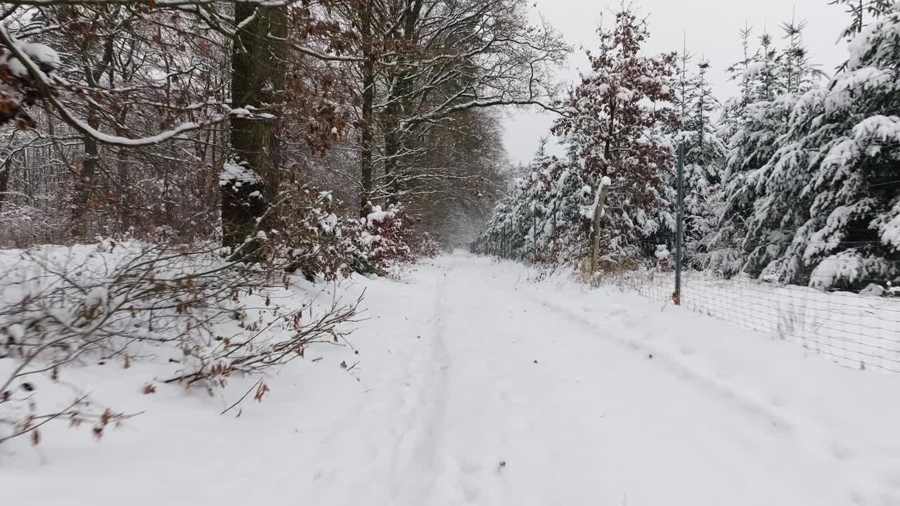 독일 북부 에 있는 눈 인 숲 의 공중 사진