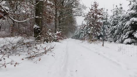 Aerial-view-of-a-snowy-forest-in-northern-germany