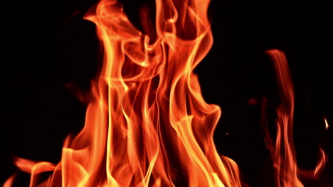 beautiful flame of fire striving up in the darkness. upper part of burning bonfire at black backdrop. close up.